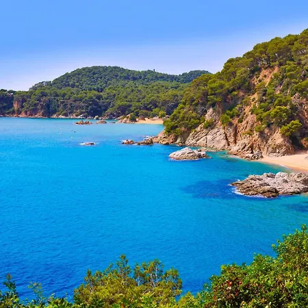 Neus * Lloret de Mar